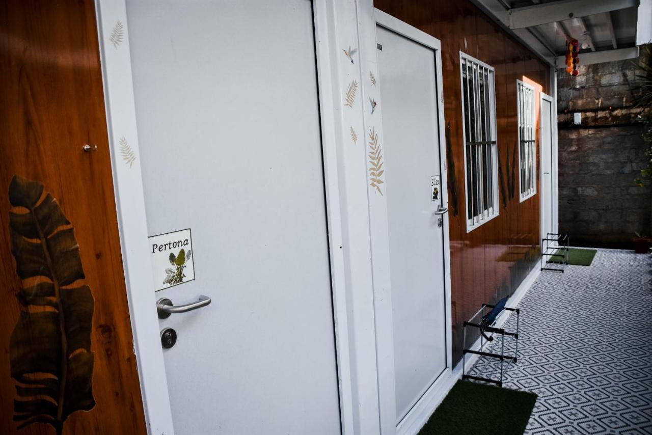 Olive Hostel 罗哈斯城 外观 照片