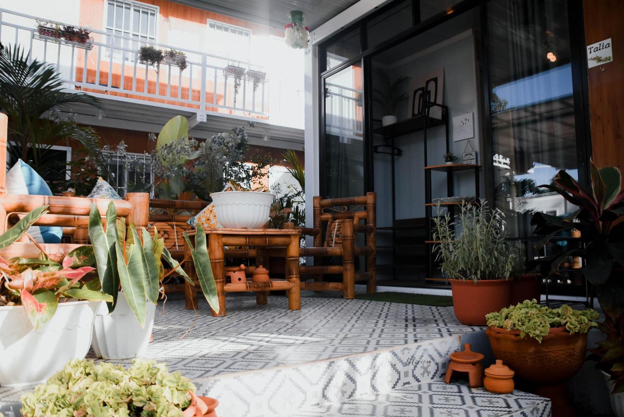 Olive Hostel 罗哈斯城 外观 照片